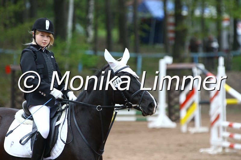 005L37010_Pyrette_Springreiter WB.JPG